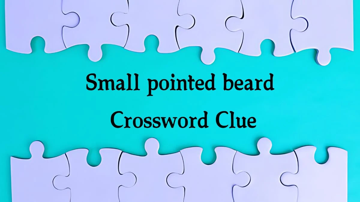 Metro Quick Small pointed beard Crossword Clue Answers with 6 Letters