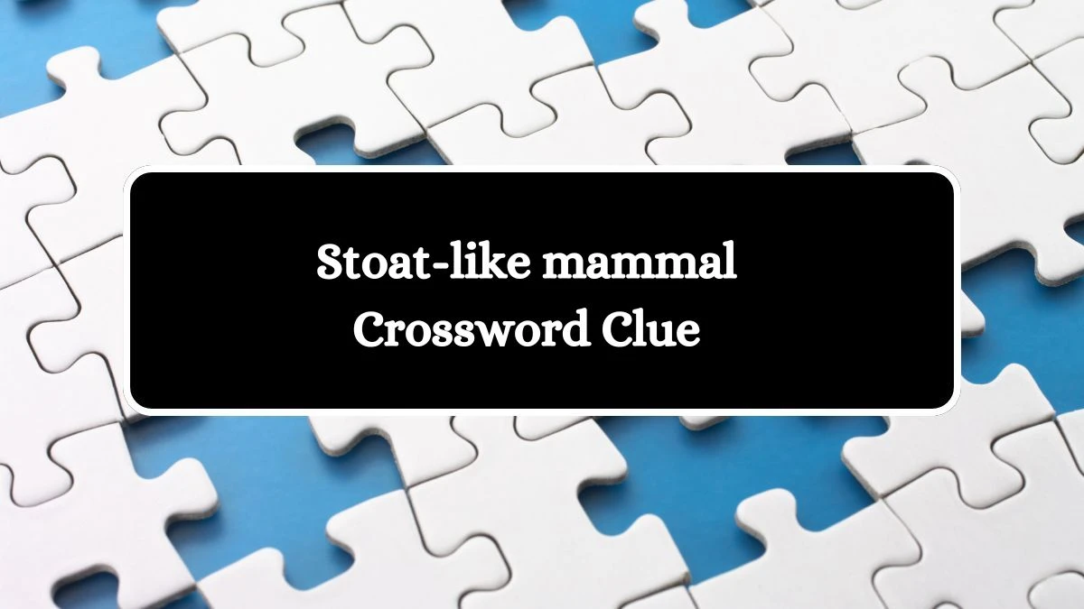 Mirror Quick Stoat-like mammal Crossword Clue Answers with 6 Letters