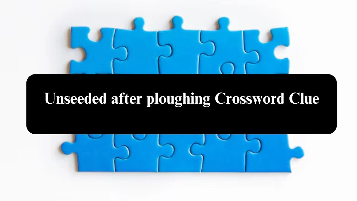 Metro Quick Unseeded after ploughing Crossword Clue Answers with 6 Letters