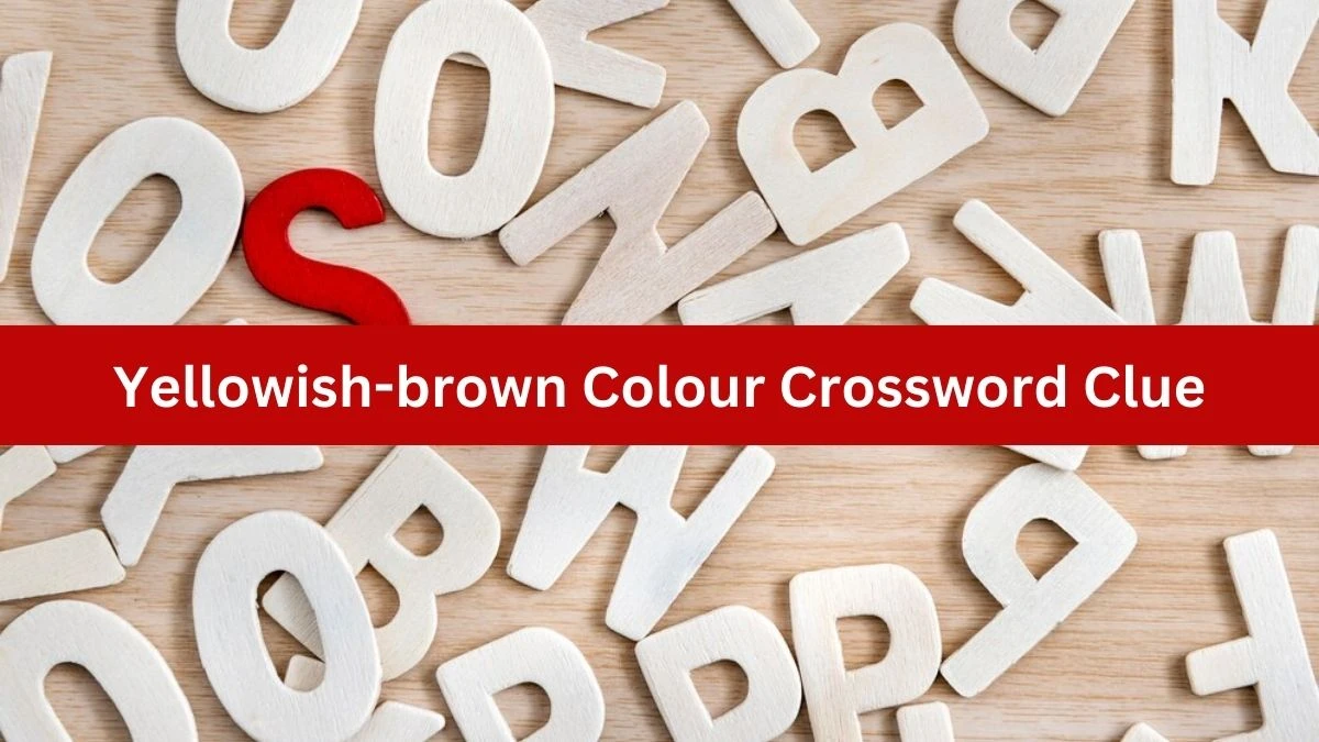 Metro Quick Yellowish-brown Colour Crossword Clue Answers with 3 Letters