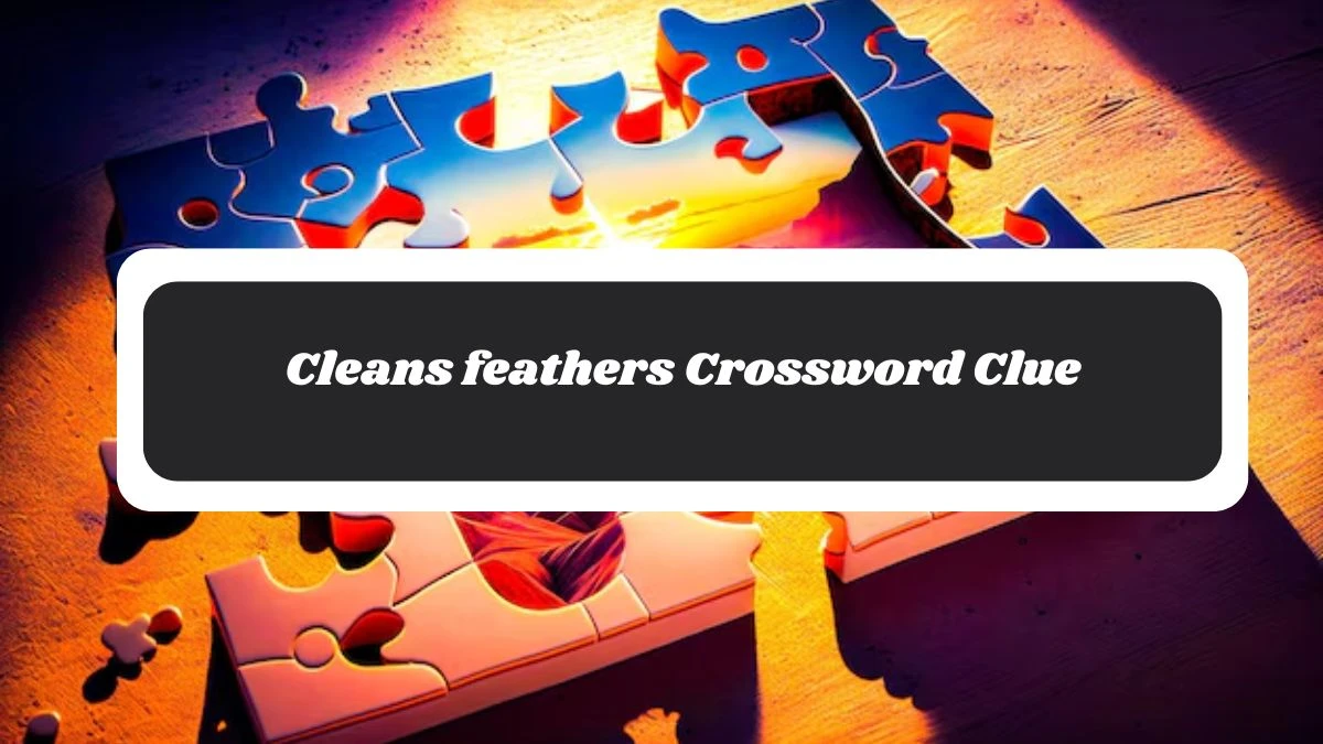 Metro Quick Cleans feathers Crossword Clue Answers with 6 Letters