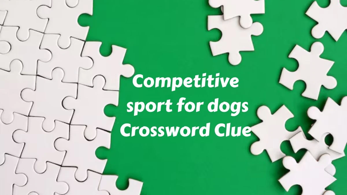 The Sun Mini Competitive sport for dogs Crossword Clue Answers with 7 Letters