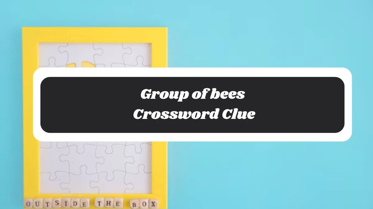 Mirror Quick Group of bees Crossword Clue Answers with 5 Letters