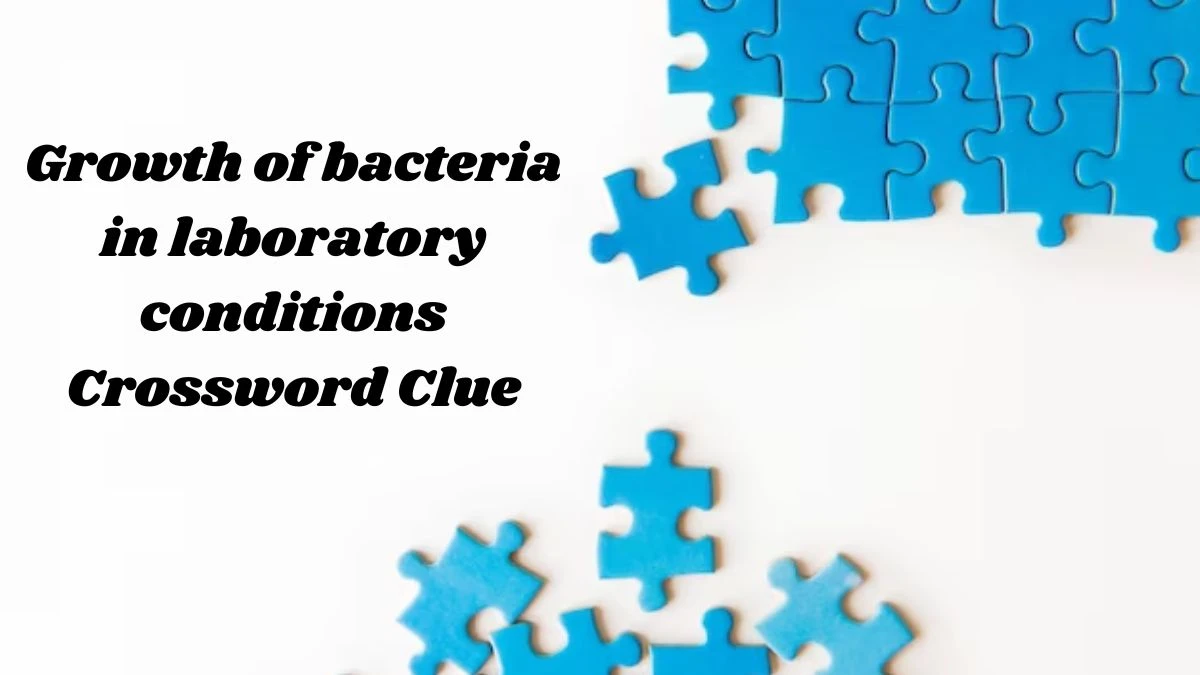 The Times Concise Growth of bacteria in laboratory conditions Crossword Clue Answers with 7 Letters